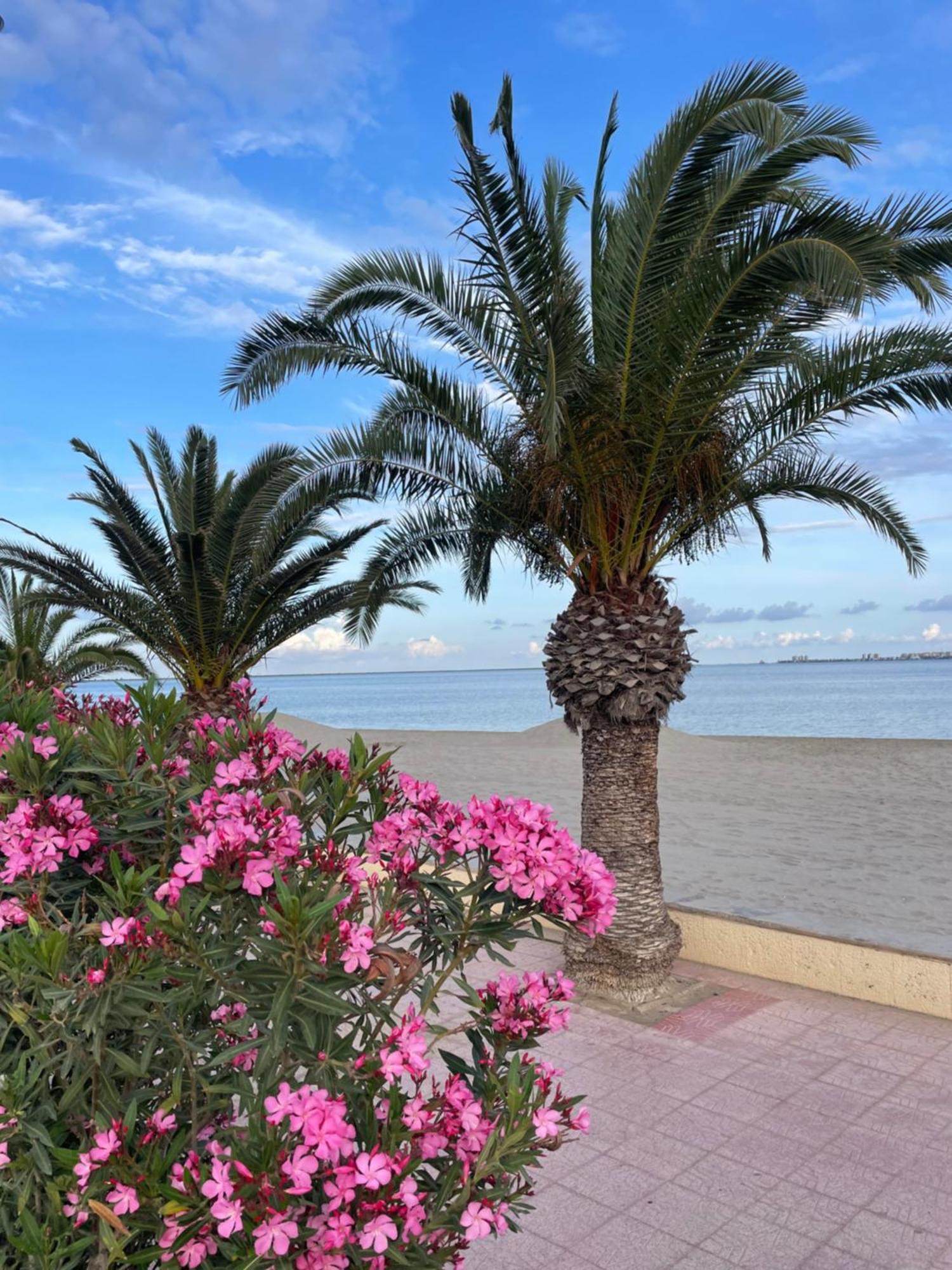 Casa Del Sol - Santiago De La Ribera, San Javier, 600 M From The Beach, Swimming Pool Екстериор снимка